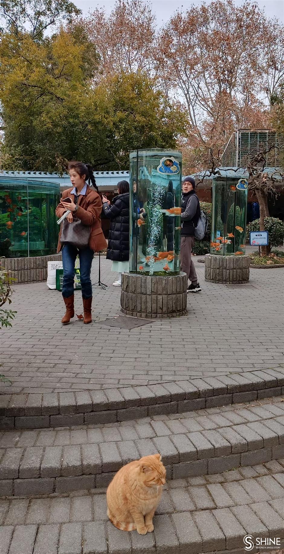 From persuasion to penalty: Pouring cold water on outdoor smoking